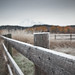 Adam Estes Photo 36