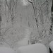 Rick Bridges Photo 33