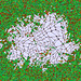 Holly Wing Photo 20
