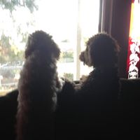 Judy Ruiz Photo 5