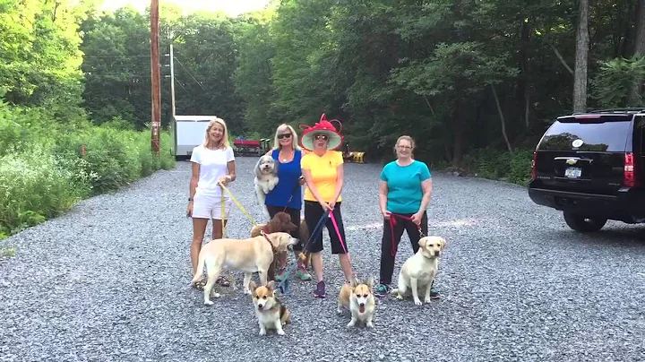 Susan Halstead Photo 25