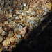 John Condren Photo 23