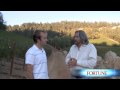 Jeffrey Wines Photo 15