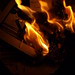 Tammy Burns Photo 39