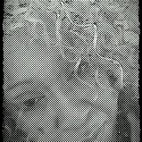 Carla Mann Photo 5