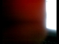 Juan Donis Photo 19