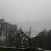 Misty Blackwell Photo 35