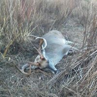 Robert Cantwell Photo 6