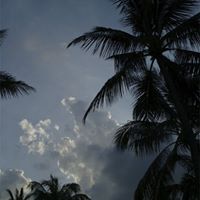Eric Seah Photo 3