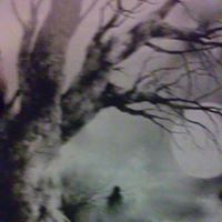 Charlie Ervin Photo 4