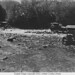 Janet Thorne Photo 36