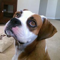 Nicole Barkalow Photo 1