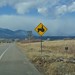 Pam Cross Photo 32