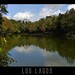 David Lagos Photo 32