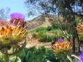 Rachel Zarate Photo 5