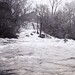 William Wieners Photo 20