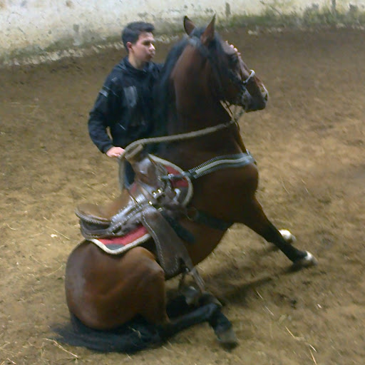 Steven Infante Photo 9