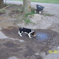 Betty Kauffman Photo 2