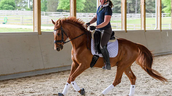 Deanna Riding Photo 7