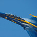 Paul Weisser Photo 19