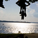 James Pieper Photo 36