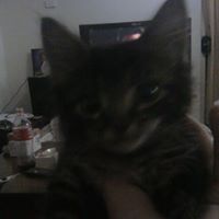 Michelle Bockman Photo 4