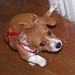 Penny Tanner Photo 32