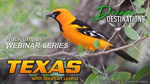 Stephen Lorenz Photo 22
