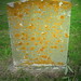Leslie Monk Photo 30