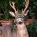 Peggy Townsend Photo 39