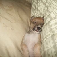 Buster Savage Photo 3