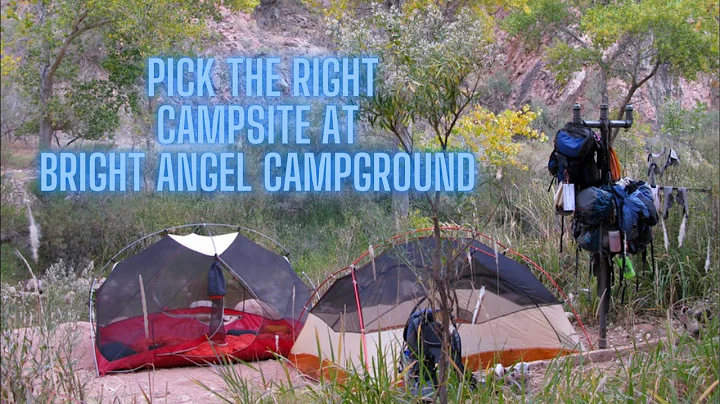 Angel Camp Photo 21