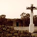Julio Cruz Photo 39