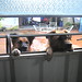 Janet Peek Photo 33