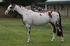 Cherie Mills Photo 22