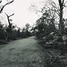Charles Rita Photo 14