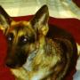 Christina Rhoads Photo 19