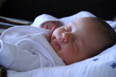 Mark Szabo Photo 11