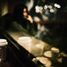 Carl Starbuck Photo 10