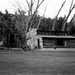 Edith Kane Photo 20