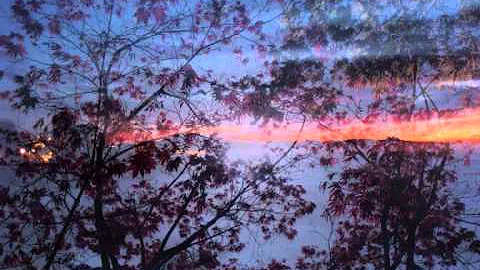 Mildred Culp Photo 6