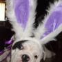Sally Buchanan Photo 24