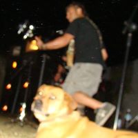 Frank Barbieri Photo 7