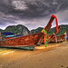 Dyan Sharp Photo 7