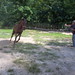 Carl Nicks Photo 18