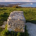 David Jardine Photo 39