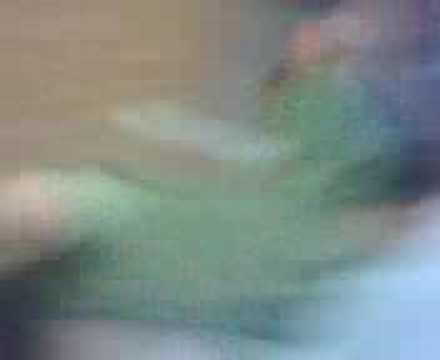 John Croall Photo 12
