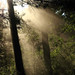 Ray Hope Photo 37