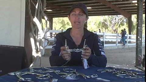 Gina Cheek Photo 13