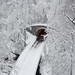 Mark Blizzard Photo 25